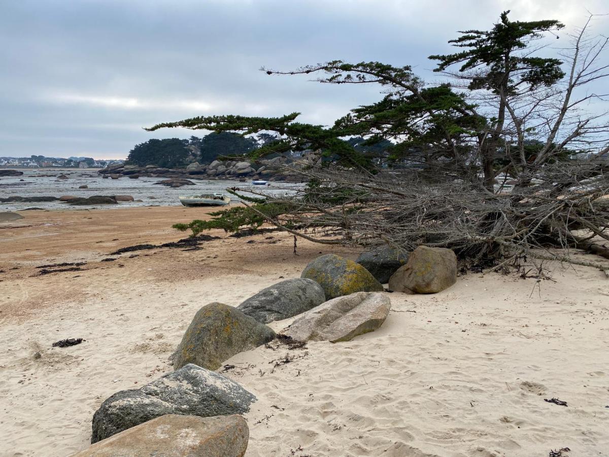Résidence du Pélican Lannion Extérieur photo